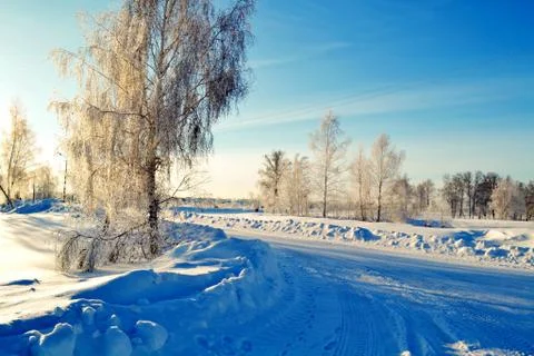 Winter Siberian Stock Photos
