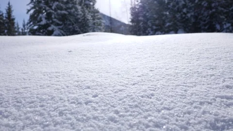 Winter Silence: Coniferous Forest &amp; Snow Vídeo Stock 339268751