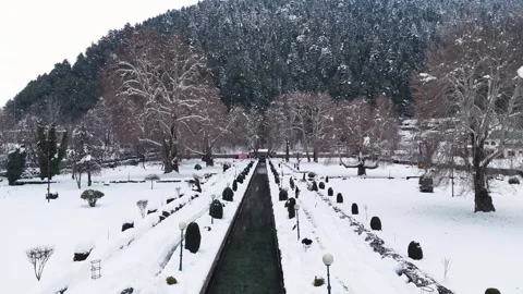 Winter silence in Verinag Park with leafless trees and the clear waters of the Stock Footage 311129519
