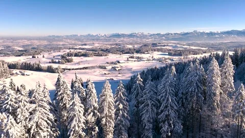 Winter silense at the foot of the mountains Video stock 295023174