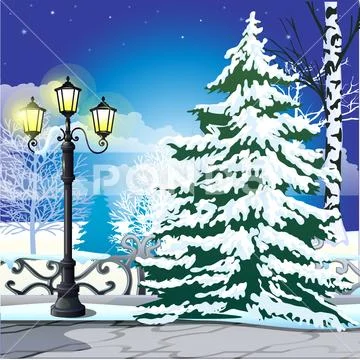 Winter sketch on the background of snowy spruce and vintage street lamp in the Stock Illustration