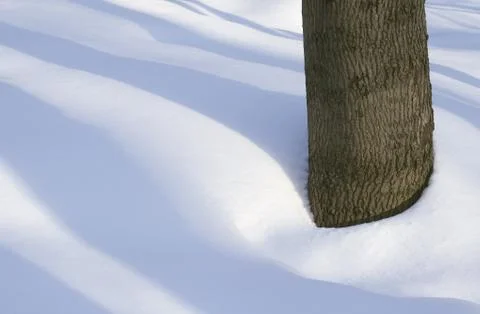 Winter sketch Stock Photos