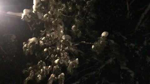 Winter sketches Stock Footage 169659646