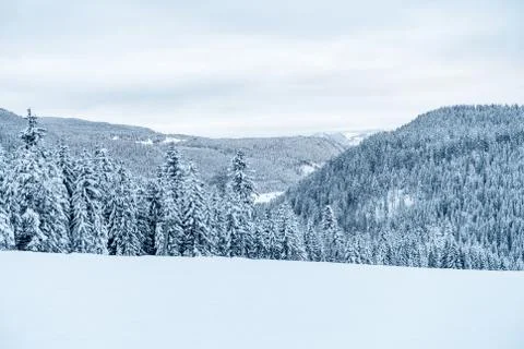 Winter Ski Landscape Foto stock