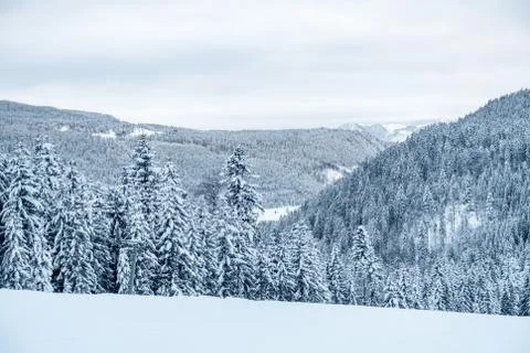Winter Ski Landscape Stock Photos