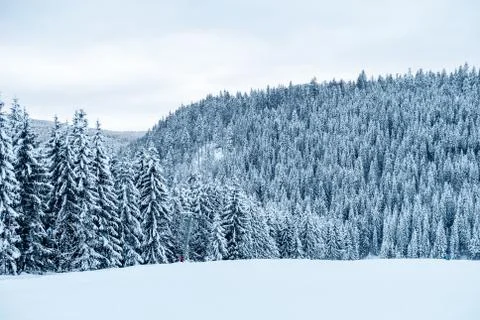 Winter Ski Landscape Stock Photos