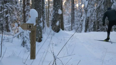 Winter skiing on a snowy trail in the forest Stock Footage 343508346