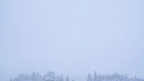 Winter sky background, large copy space, falling snow and trees Stock Footage 328484412