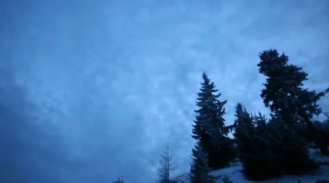Winter sky with coulds dramatic timelapse with snowed fir trees Video stock 10595338