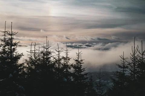 Winter Sky with Dramatic Clouds and Pine Trees view from Mountain in Czech Stock Photos
