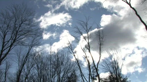 Winter sky Video stock 344146