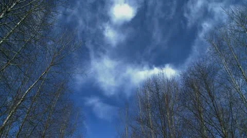 Winter Sky 스톡 동영상 20930888