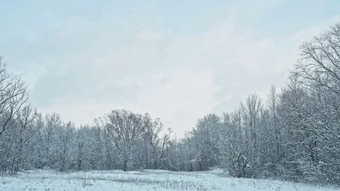Winter sky Stock Footage 83929730