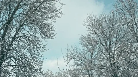 Winter sky Stock Footage 83930025