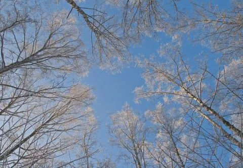 Winter sky Stock Photos