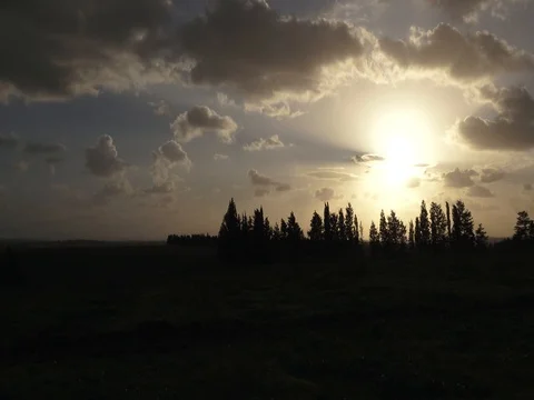 Winter Sky Tree Line Pan 1080 30 NO AUDIO Stock Footage 84804026