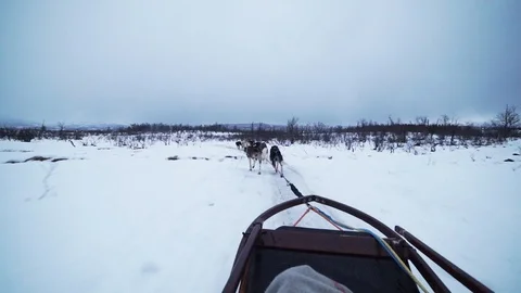 Winter sled ride Stock Footage 89505587