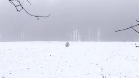 Winter sledding Stockbeeldmateriaal 147611036