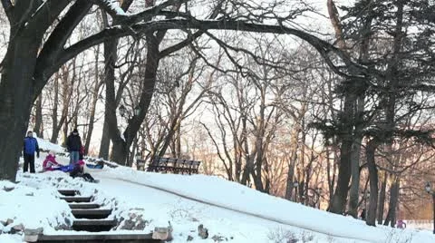 Winter sledge on mountain ProRes Video stock 10724525