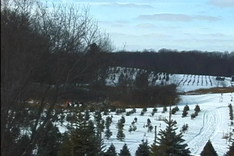 Winter Sleigh Ride 2 Stock Footage 100926