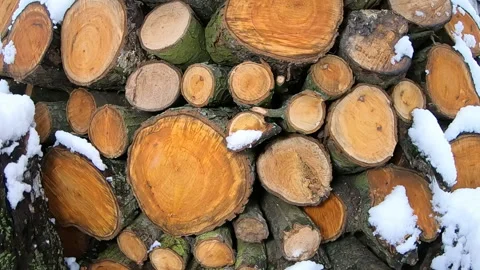 Winter slow motion of falling snow. Stock Footage 130366657