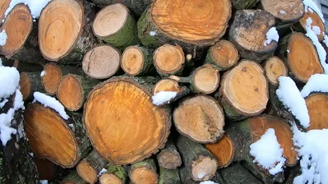 Winter slow motion of falling snow. Stock Footage 130366736