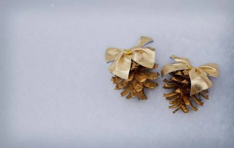 Winter small compositions in the snow. Hello winter. Pine and cones. Top vi.. Stock Photos