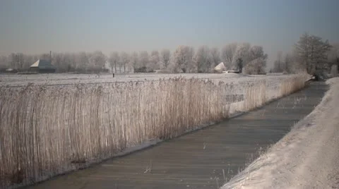 Winter-snow-29.MOV 스톡 동영상 10864171