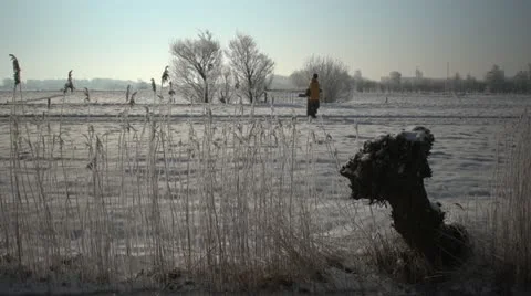 Winter-snow-33.MOV 스톡 동영상 10864199