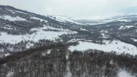 Winter with snow and bare tree without leaves. View from railroad Video stock 233240873