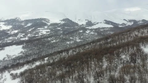 Winter with snow and bare tree without leaves.View from railroad Video stock 233241089