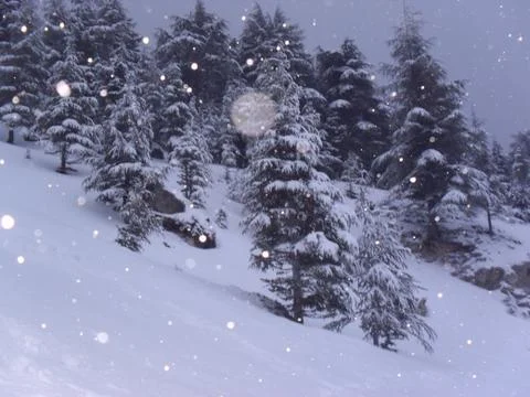 Winter snow and cold Stock Photos