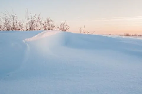 Winter snow background. Close up view of fresh new snow in winter forest on s Stock Photos