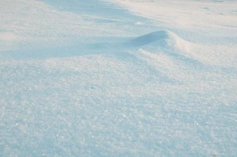 Winter snow background. Close up view of fresh new snow in winter forest on s Stock Photos