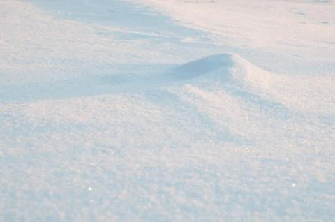 Winter snow background. Close up view of fresh new snow in winter forest on s Stock Photos