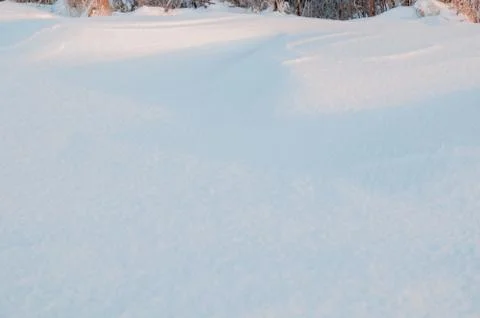 Winter snow background. Close up view of fresh new snow in winter forest on s Stock Photos