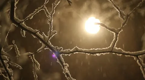 Winter snow background Stock Footage 11136951