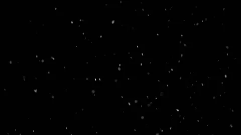 Winter Snow Background, It is snowing, Video overlay Black Stock Footage 231811082