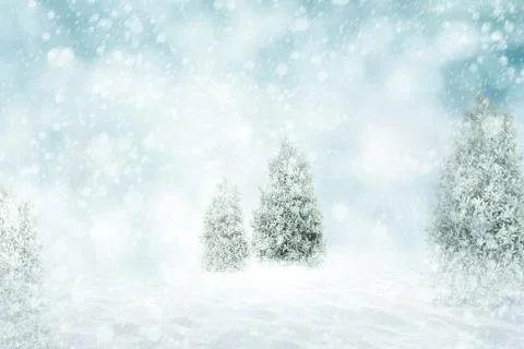 Winter snow background Stock Photos