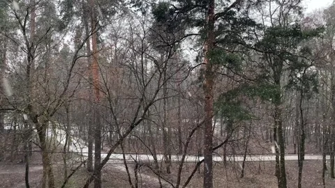 Winter. Snow is beginning to cover the gray ground. Cold season. Stock Footage 262045268