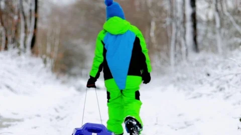 Winter snow boy fun Stock Footage 71384498