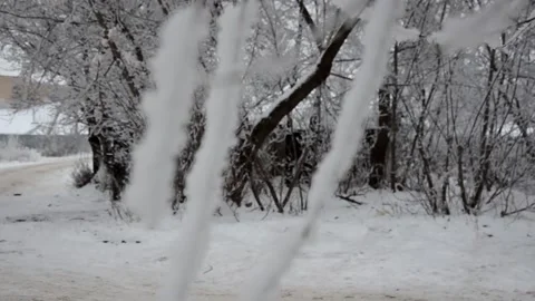 Winter, snow on the branches of a tree, winter background, wind in the forest Stockbeeldmateriaal 144269103