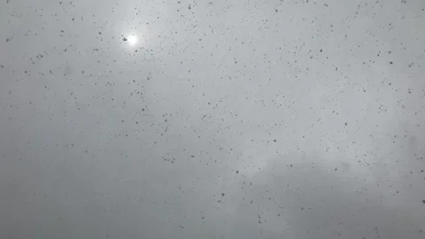 Winter Snow At Camera Stock Footage 169974510