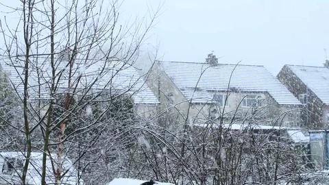 Winter snow in a city Stock Footage 84833001