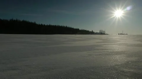 Winter snow cold sunny field trees Stock Footage 48476507