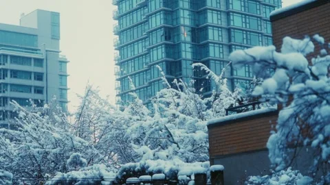 Winter snow covered icy trees and urban buildings in neighbourhood Stock Footage 293148699