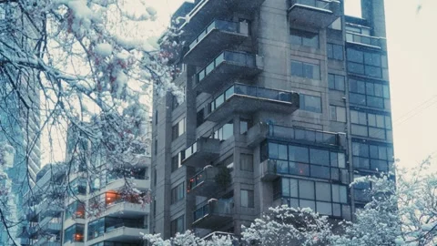 Winter snow covered icy trees and urban concrete contemporary architecture Stock Footage 296284085