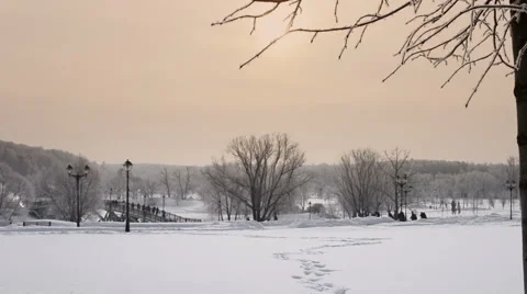Winter Snow Covered Park  Stock Footage 57959645