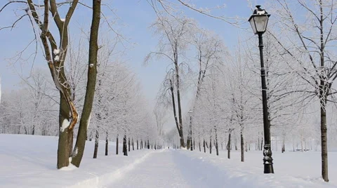 Winter Snow Covered Park  Stock Footage 57959827