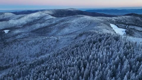 Winter Snow Covered Trees Aerial Orbit Before Sunrise Stock Footage 335743200
